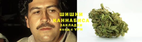 сатива Рославль