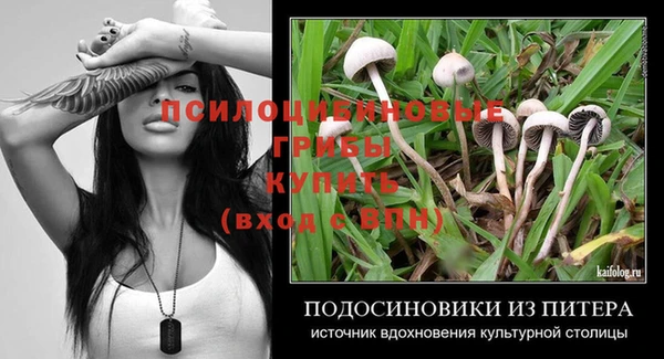 синтетический гашиш Алексеевка