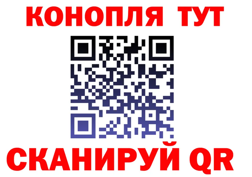 АМФ Premium вход мориарти mega Гусь-Хрустальный