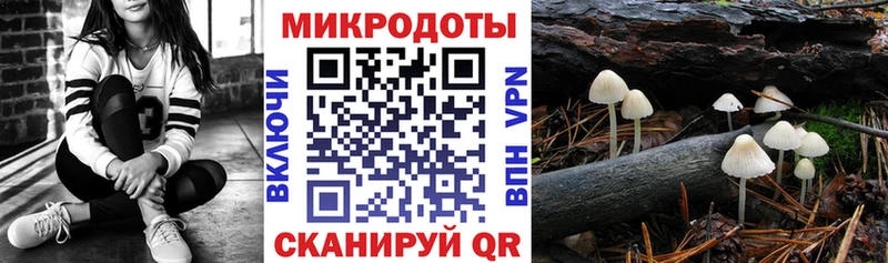 Галлюциногенные грибы GOLDEN TEACHER  гидра tor  Гусь-Хрустальный  купить наркотики цена 